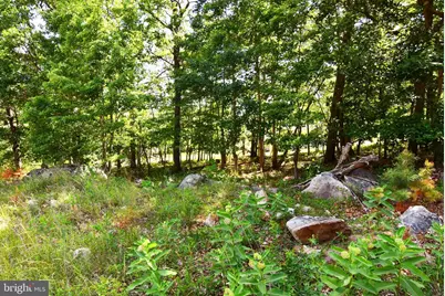 Lot 116 Arum Trail, Star Tannery, VA 22654 - Photo 12
