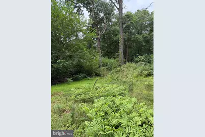 616 Opossum Trail, Winchester, VA 22602 - Photo 18