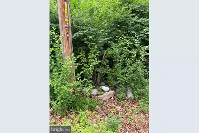 616 Opossum Trail, Winchester, VA 22602 - Photo 14