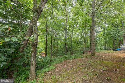544 Bluebird Trail, Winchester, VA 22602 - Photo 32