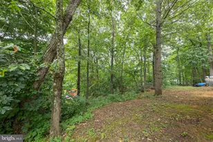 544 Bluebird Trail, Winchester, VA 22602 - Photo 32