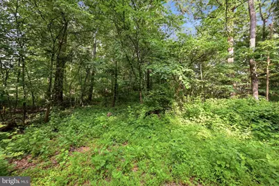 106 Blackfeet Trl, Winchester, VA 22602 - Photo 40