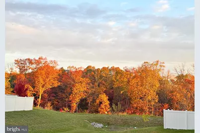 118 Twinleaf Way, Lake Frederick, VA 22630 - Photo 70