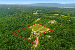 1309 Redland Rd, Cross Junction, VA 22625 - Photo 74
