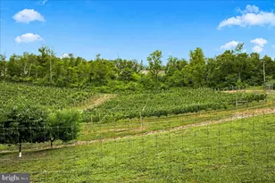 1309 Redland Rd, Cross Junction, VA 22625 - Photo 86