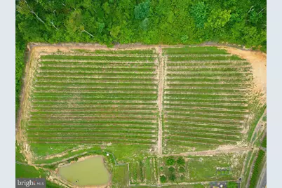 1309 Redland Road, Cross Junction, VA 22625 - Photo 94