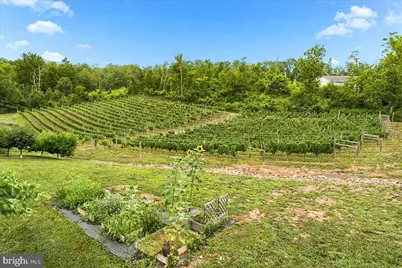 1309 Redland Road, Cross Junction, VA 22625 - Photo 78