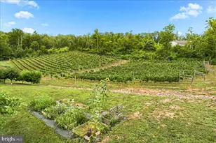 1309 Redland Rd, Cross Junction, VA 22625 - Photo 78