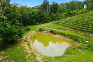 1309 Redland Rd, Cross Junction, VA 22625 - Photo 88