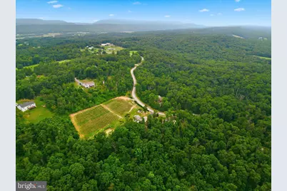 1309 Redland Road, Cross Junction, VA 22625 - Photo 72