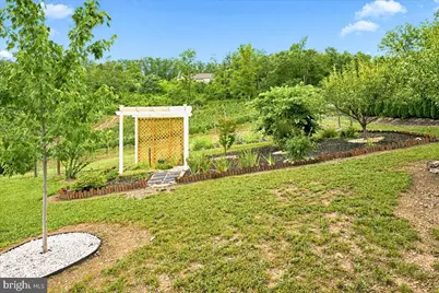 1309 Redland Road, Cross Junction, VA 22625 - Photo 66