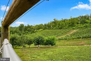 1309 Redland Rd, Cross Junction, VA 22625 - Photo 58