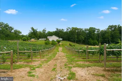 1309 Redland Road, Cross Junction, VA 22625 - Photo 78
