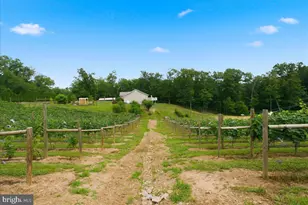 1309 Redland Rd, Cross Junction, VA 22625 - Photo 78