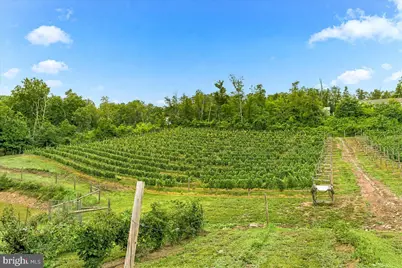 1309 Redland Road, Cross Junction, VA 22625 - Photo 82