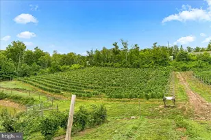 1309 Redland Rd, Cross Junction, VA 22625 - Photo 82