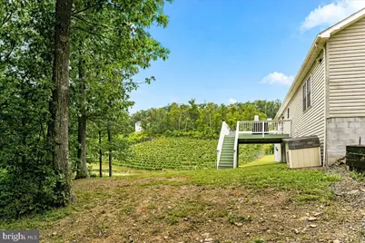 1309 Redland Road, Cross Junction, VA 22625 - Photo 60