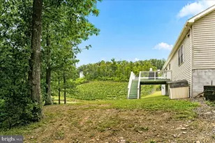 1309 Redland Rd, Cross Junction, VA 22625 - Photo 60