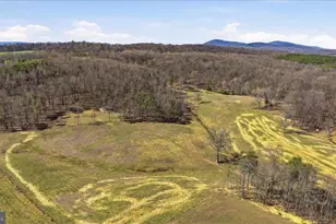 Light Rd, Winchester, VA 22603 - Photo 40