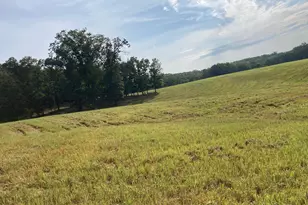 Light Rd, Winchester, VA 22603 - Photo 14