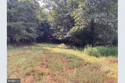 Light Road, Winchester, VA 22603 - Photo 76