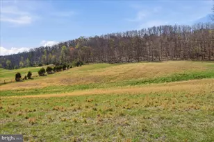 Light Rd, Winchester, VA 22603 - Photo 22