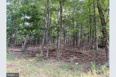 Light Road, Winchester, VA 22603 - Photo 68
