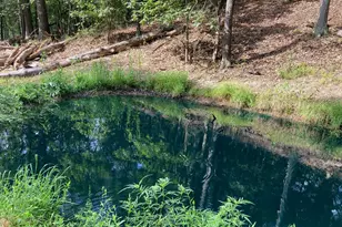 Light Rd, Winchester, VA 22603 - Photo 70