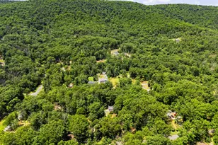 111 Geronimo Trail, Winchester, VA 22602 - Photo 42