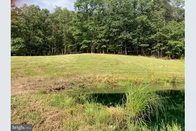 Light Road, Winchester, VA 22603 - Photo 62