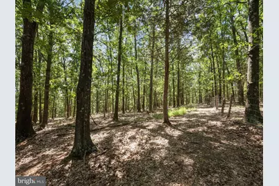 Light Road, Winchester, VA 22603 - Photo 58