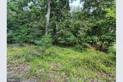 147 Lake Holiday Road, Cross Junction, VA 22625 - Photo 4