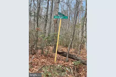 Belwort Trail, Star Tannery, VA 22654 - Photo 4