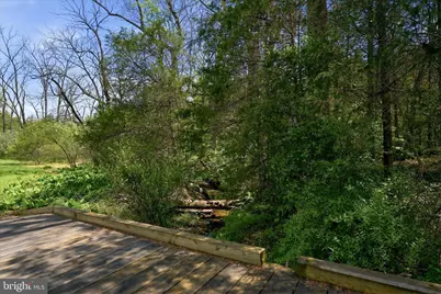 2121 S Pifer Road, Star Tannery, VA 22654 - Photo 102