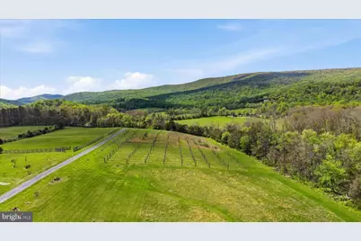 2121 S Pifer Road, Star Tannery, VA 22654 - Photo 116