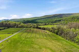 2121 S Pifer Rd, Star Tannery, VA 22654 - Photo 116
