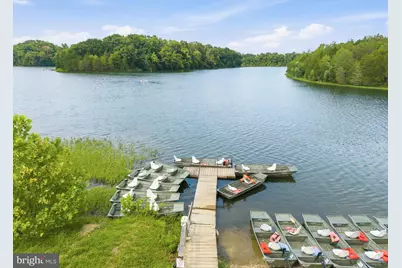 106 Fringetree Court, Lake Frederick, VA 22630 - Photo 54