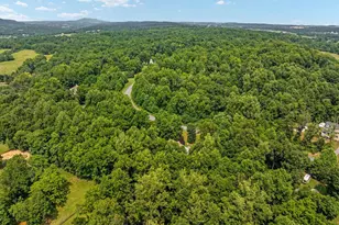 258 Chimney Cir, Middletown, VA 22645 - Photo 64