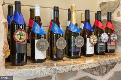 450 Green Spring Road, Winchester, VA 22603 - Photo 38