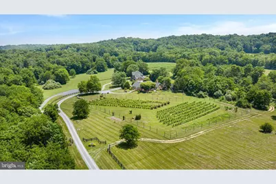 450 Green Spring Road, Winchester, VA 22603 - Photo 54