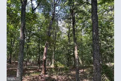 Brush Creek Road, Winchester, VA 22603 - Photo 12