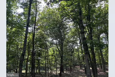 Brush Creek Road, Winchester, VA 22603 - Photo 10