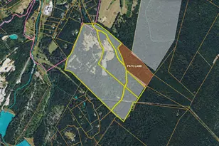 251 Barclays Run Ln, Gore, VA 22637 - Photo 132