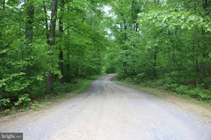 251 Barclays Run Ln, Gore, VA 22637 - Photo 74