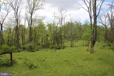 251 Barclays Run Lane, Gore, VA 22637 - Photo 42