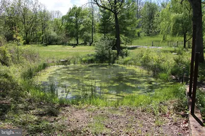 251 Barclays Run Lane, Gore, VA 22637 - Photo 26