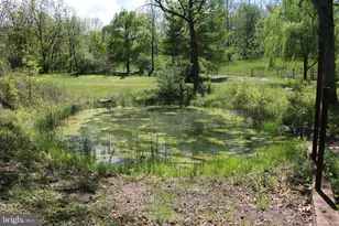 251 Barclays Run Ln, Gore, VA 22637 - Photo 26