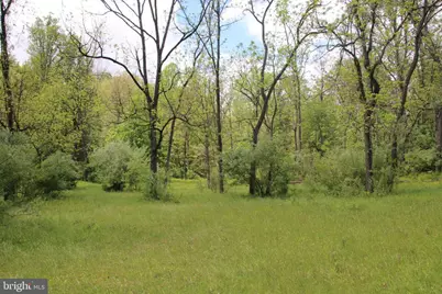 251 Barclays Run Lane, Gore, VA 22637 - Photo 36