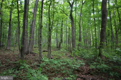 251 Barclays Run Lane, Gore, VA 22637 - Photo 104