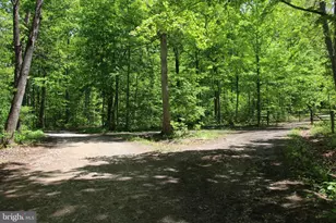 251 Barclays Run Ln, Gore, VA 22637 - Photo 66
